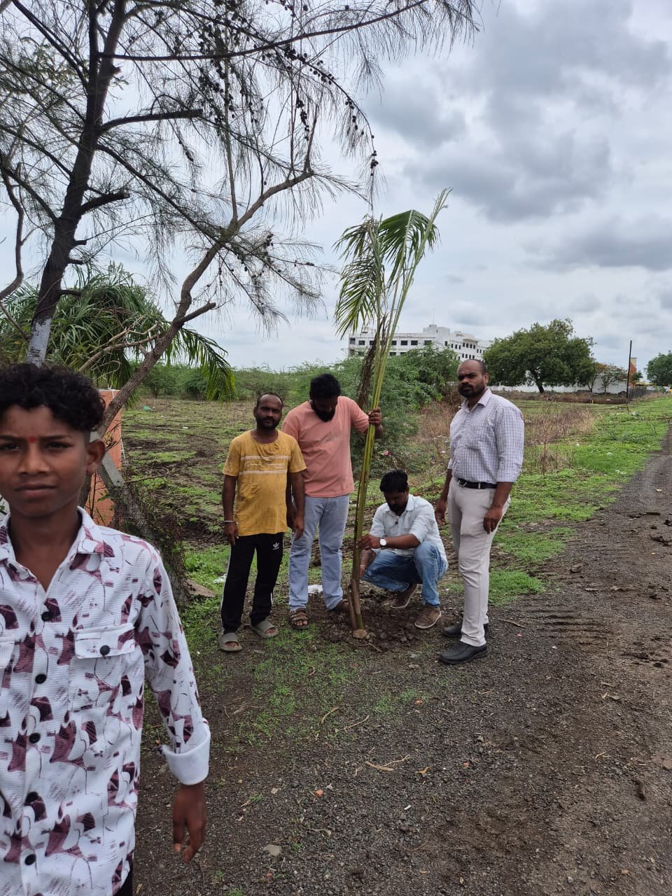 Tree Plantation Drive