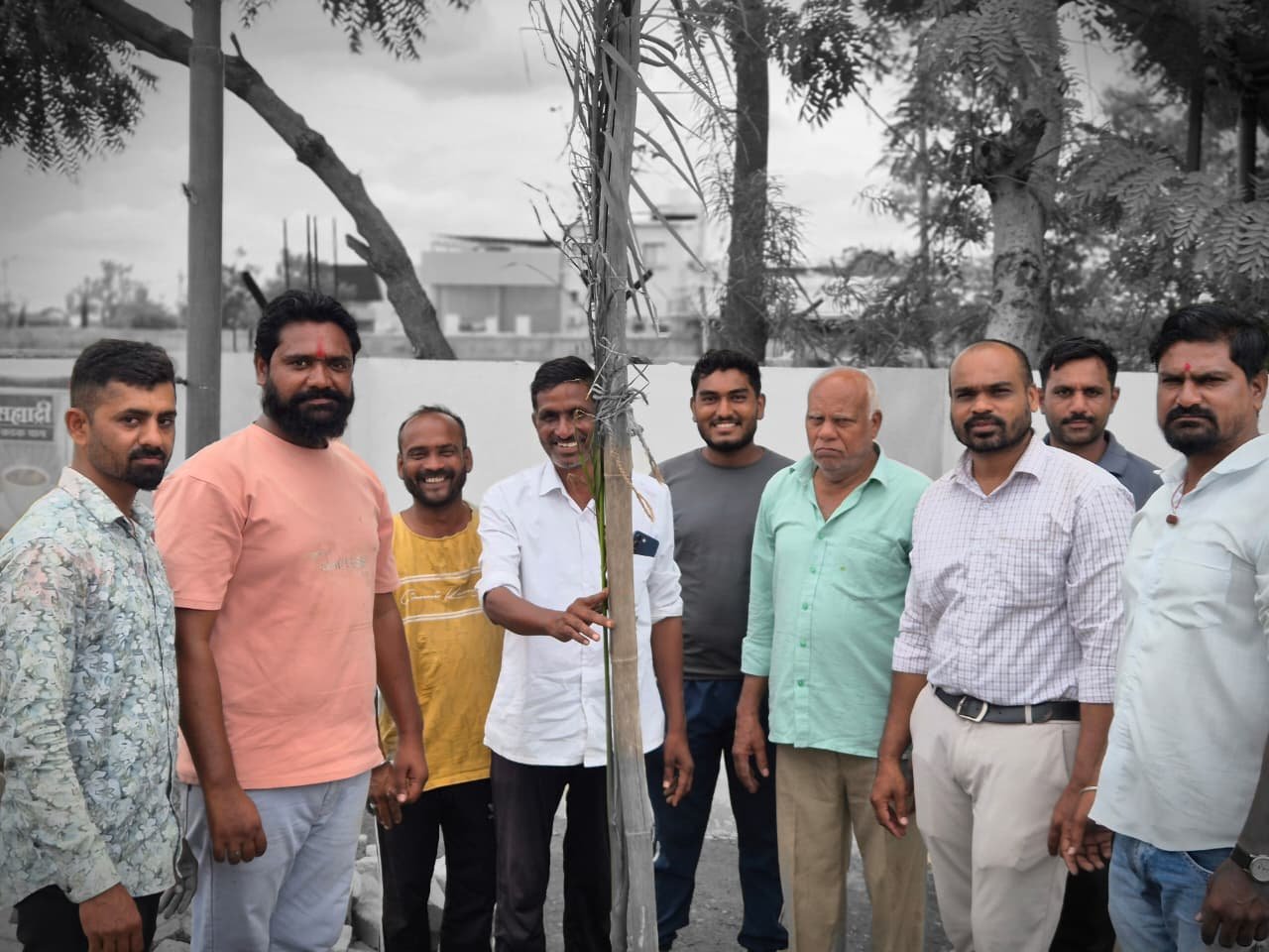 Tree Plantation Drive