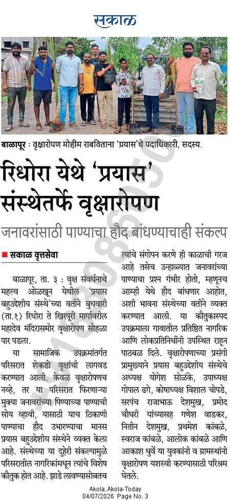 Tree Plantation News Coverage